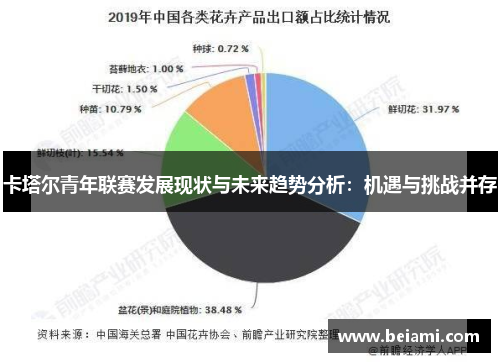 卡塔尔青年联赛发展现状与未来趋势分析：机遇与挑战并存