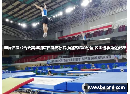国际体操联合会美洲蹦床体操锦标赛小组赛精彩纷呈 多国选手角逐激烈