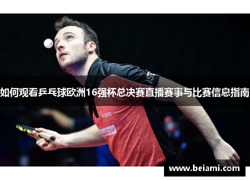 如何观看乒乓球欧洲16强杯总决赛直播赛事与比赛信息指南