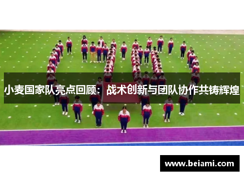 小麦国家队亮点回顾：战术创新与团队协作共铸辉煌