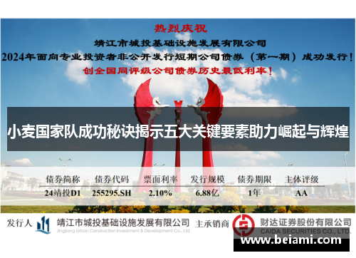 小麦国家队成功秘诀揭示五大关键要素助力崛起与辉煌 小麦国家队成功秘诀揭示五大关键要素助力崛起与辉煌